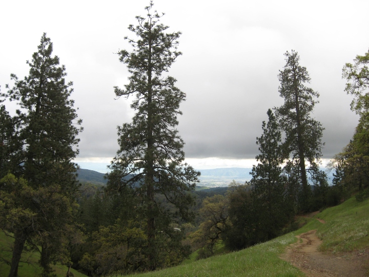 Henry W. Coe State Park